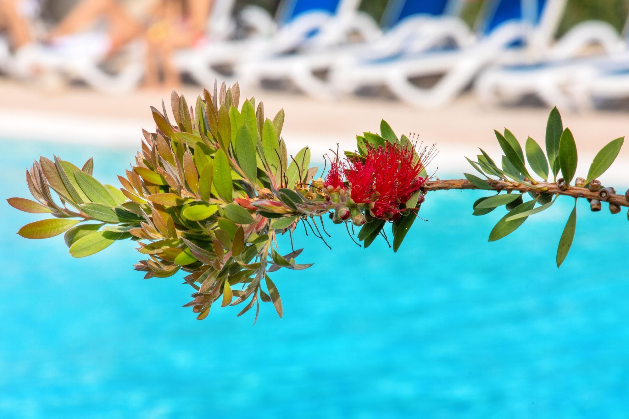 Sowell Family Riviera Hotel Saint-Raphaël Екстериор снимка
